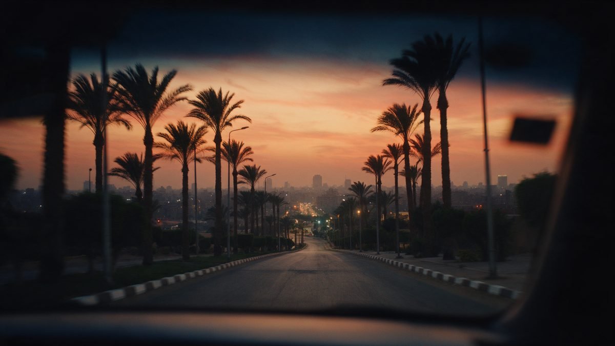 طريق تحفه أشجار النخيل يؤدي إلى القاهرة عند الغسق تحت سماء برتقالية دافئة
