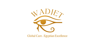 Logo de WADJET Healthcare